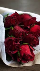 Red Rose In 2020 Beautiful Rose Flowers Red Flower Bouquet Red Roses Wallpaper