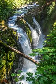 Follow the signs for marymere falls. 10 Things You Can T Miss On Your First Visit To Olympic Page 3 Of 3 Dirt In My Shoes