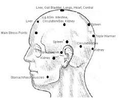 hands on healthy calming stress neurovascular points