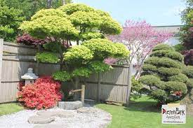 pin van dierenpark amersfoort op japanse tuin japanse tuin aziatische tuin tuin