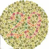 Color blindness (also called color vision deficiency or cvd) is a reduced ability to see colors. Ishihara Test For Color Blindness Toledo Bend Lake