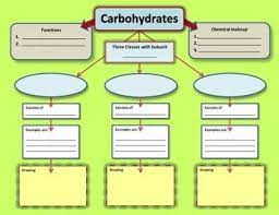 Graphic Organizer For Carbohydrates In 2021 Medical School Organization Graphic Organizers School Organization