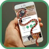 Broma a tus amigos o novia mediante la adición de serpientes vivas a la . Snake On Screen 1 2 Apk Com Yottalab Snakescreen Apk Download