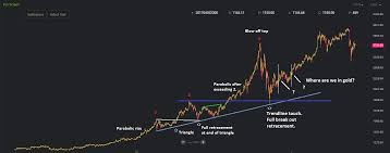 Charts Of The Day Gold Vs Bitcoin The Hedgeless Horseman