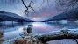 Winter Free Wallpapers For Desktop