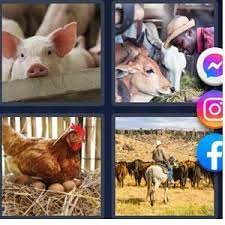 Maybe you would like to learn more about one of these? 4 Pics 1 Word Daily Bonus Puzzle May 4 2021
