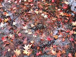 LOVE first day of winter along the North Umpqua River, Oregon. Lettering  with Rocks by Robert Bernal!💞