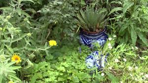 Maybe you would like to learn more about one of these? Shade And Sun Garden Meet Whimsy Robin Howard Moore Central Texas Gardener Youtube