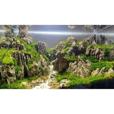 Tak hanya membuat tampilan aquarium jadi cantik. Batu Pasir Aquascape Hardscape Paludarium Batu Hias Aquarium Shopee Indonesia