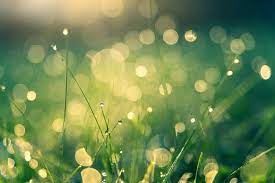 Download free abstract green background. Green Wallpapers Free Hd Download 500 Hq Unsplash