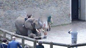 Deutschland Bedruckende Aufnahmen Aus Dem Zoo Wuppertal Artenschutz Tiere Und Wuppertal
