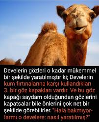 Hedef 2023 Adli Kullanicinin Ayet Panosundaki Pin Biliyor Muydunuz Guzel Soz Ozlu Sozler