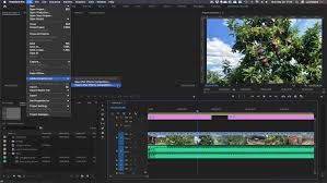 Create stunning motion graphics with our free after effects templates! Adobe After Effects Vs Premiere A Side By Side Comparison Videomaker