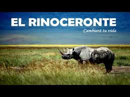 .resumen del libro el rinoceronte este resumen es del libro el rinoceronte cuenta con 15 capitulos que basicamente se trata de una guia practica para alcanzar el éxito.el. El Rinoceronte Audiolibro Completo En Espanol Voz Humana Gratis Youtube