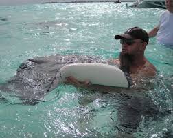 Maybe you would like to learn more about one of these? Trip Report Grand Cayman Travel Codex