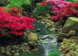 Beautiful Garden Flowers Little Stream Trees Rocks Flower Wallpaper Download For Mobile Garden Pictures Beautiful Gardens Beautiful Flowers Garden