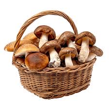 Edible Mushrooms PNG, Vector, PSD, and Clipart With Transparent Background for Free Download | Pngtree