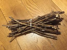 Image result for grapevine cuttings