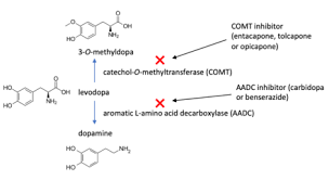 Catechol O Methyltransferase Inhibitor Wikipedia