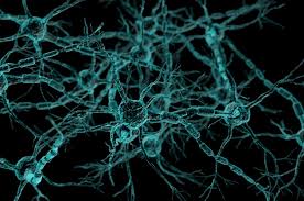 Over the time it has been ranked as high as 196 799 in the world, while most of its traffic comes from usa, where it reached as high as 107 689 position. Enamine Lundbeck Extend Multi Year Cns Drug Discovery Deal