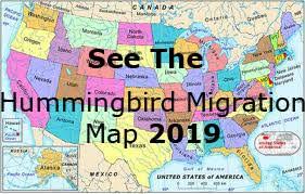 Hummingbird Migration Spring 2019 Migration Map For Spring