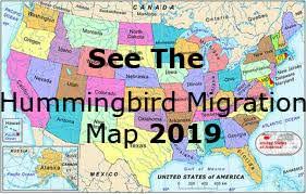 Hummingbird Migration Spring 2019 Migration Map For Spring