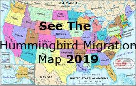 hummingbird migration spring 2019 migration map for spring