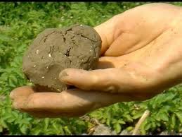 We did not find results for: Les Types De Sol Le Sol Argileux Youtube