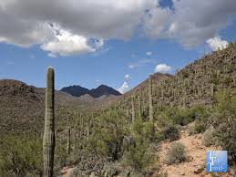 In 2011, i graduated with a bfa in photography from columbia college chicago. 15 Places For Incredible Views In Tucson Arizona Top Ten Travel Blog