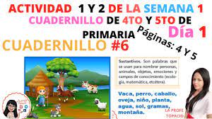 Para llenar un cheque, escribe la fecha en la línea de la esquina superior derecha y escribe el nombre del beneficiario en la línea que indica páguese a la orden de. Semana 1 Dia 1 De 6to Del Cuadernillo 6 Actividad 1 Y 2 Paginas 4 5 Y 6 Youtube