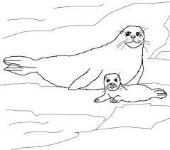 See more ideas about baby harp seal, harp seal, seal pup. Harp Seal Mother And Baby Coloring Page Free Printable Coloring Pages Baby Coloring Pages Baby Harp Seal Coloring Pages