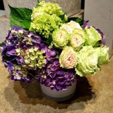 Maybe you would like to learn more about one of these? Send Amaryllis Houston Tx Flower Delivery Bloomnation