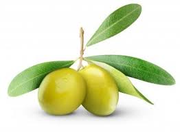 Pin On Natural Ingredients