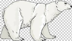 Polar Bear Dog Breed Giant Panda Ausmalbild Png Clipart