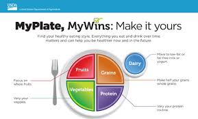 • identify the 5 fruit and vegetable color groups • identify 1 fruit and vegetable from each color group 1. 3 4 Using The Myplate Planner Nutrition 100 Nutritional Applications For A Healthy Lifestyle