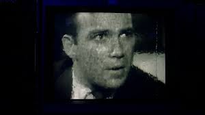 I got this Olympus OEV203 from Jason Lusk and have been addicted to it.  I've been playing Sega Genesis in stunning 240p RGB via SCART, some PS2  games that utilize Tate mode,