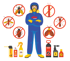 Kawalan biologi serangga perosak dengan turnera. Dni Pest Control Perkhidmatan Kawalan Serangga Am Anai Anai Dan Vektor Nyamuk Secara Professional