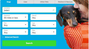Not only does it give a homeless pet a loving home, but it also opens up an additional spot in the shelter so that more pets can be saved. Adopt A Pet Com Linkedin