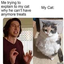 Me Trying To Explain To My Cat Why Cant Have Any More Treats Vs My Cat Meme Memezila Com