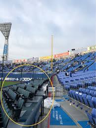 ベイスターズスターナイト☆エキサイティングシート