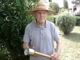Cueillette Des Figues Pick Figs Youtube
