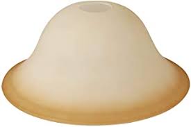 Consider also the style of your lamp, whether it looks modern or more traditional. Amazon Com Floor Lamp Globe Replacement