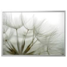 Ikea Us Furniture And Home Furnishings Buy Wall Decor Dandelion Ikea