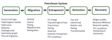 the petroleum system