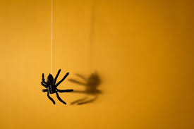 Halloween outside decorations ideas with spiders with yellow. 19 Cheap Halloween Decorations For Apartments