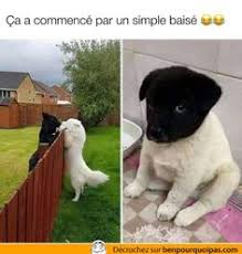En outre, c'est une femme très plaisante avec un assez bon sens de l'humour. Animaux