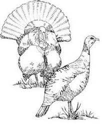 Although wood was continuously needed for fuel, some hammams, such as those in morocco and damascus , also made use of recycled organic materials from other industries such as wood shavings from carpenters ' workshops and olive pits from the olive presses. 31 Woodburning Turkey Ideas Turkey Drawing Turkey Coloring Pages Wild Turkey