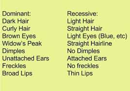 Dominant And Recessive Genetic Traits