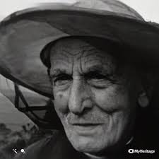 Let the bees tell you !