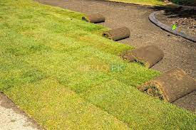Creative Landscape Designers Full Service Swimming Pool Landscape Swimming Pool Landscaping Pool Landscaping Creative Landscape